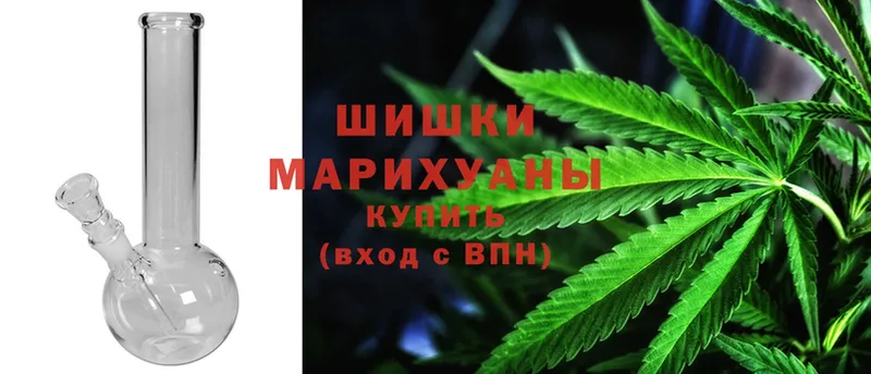 Канабис OG Kush  Шлиссельбург 